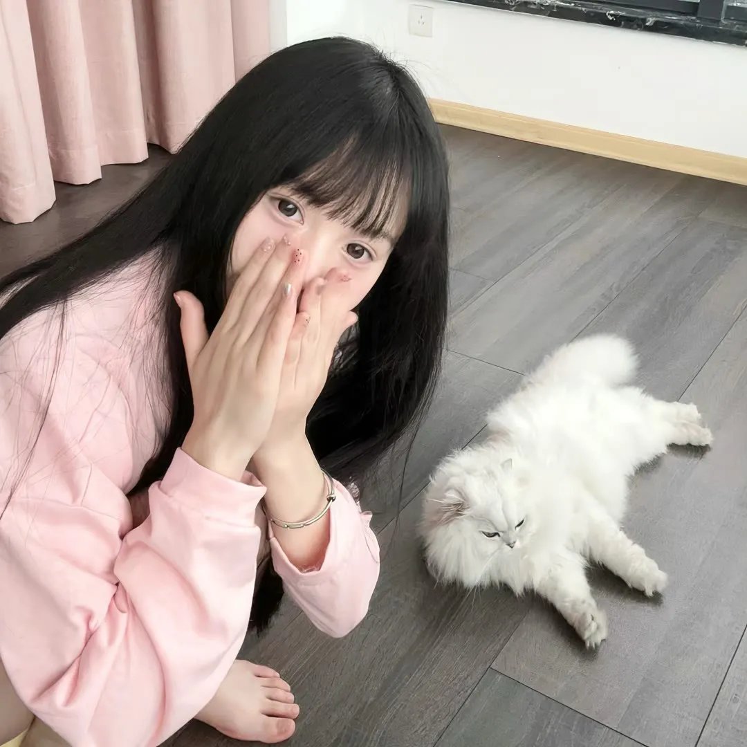 红雀特工